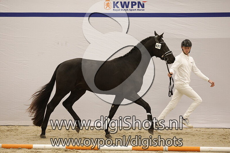 Sensation v. McLaren