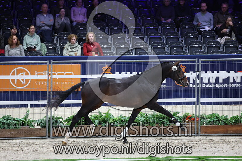 Sunshine v. Total McLaren