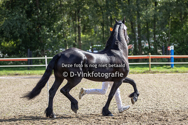 45. Jildouke fan 'e Homar