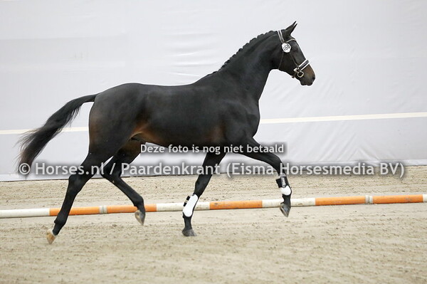 468 Remix (Le Formidable x Google v. Andretti)