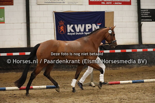 151 Savin Hill Sijgje