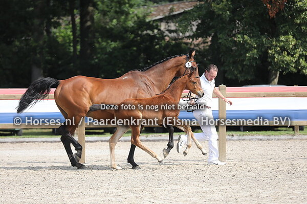 3 Solid van de S Baan