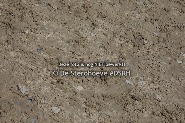 11. Vrouwelijke driejarigen springen reeks 1