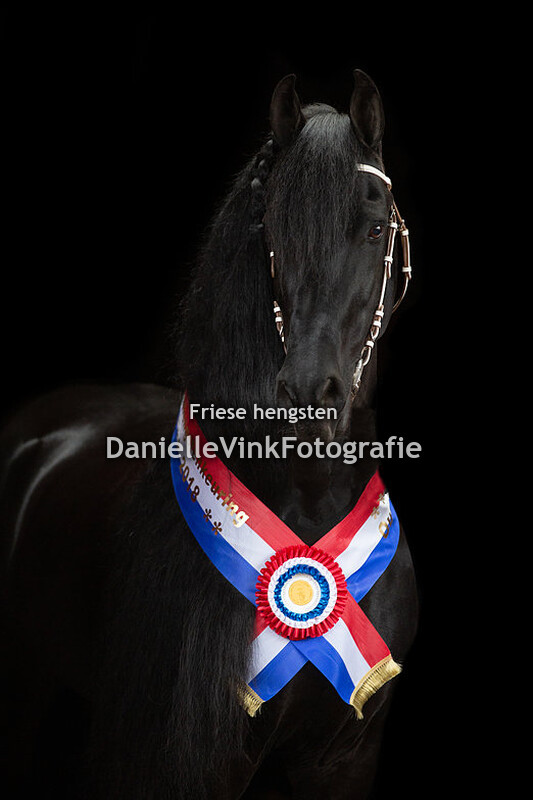 Hengstenshow Lunteren 02-04-2018 - Alwin 469