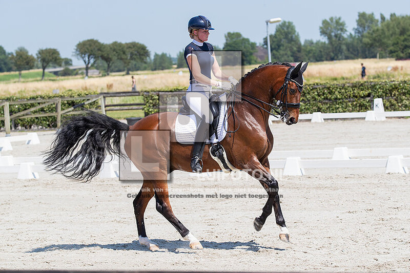 Regiokampioenschappen Noord Holland Outdoor 