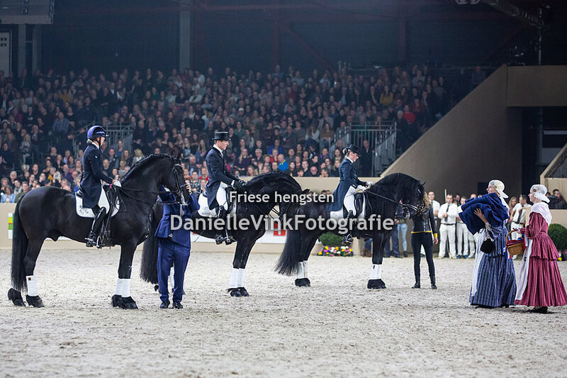 Hengstenkeuring 2020 OHZ Wylster 463 Leonie Evink