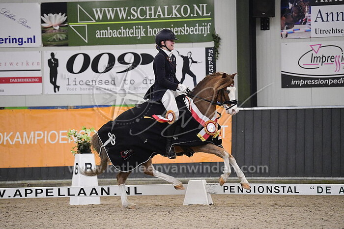 Ymke van Eijden - Aladin