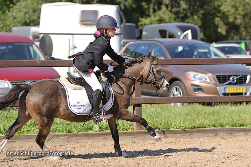 Horka Concours 03-09-2022 Rubriek 4 50-60cm AB