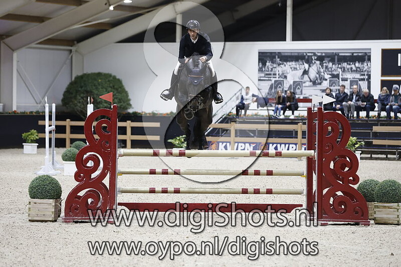 Horse Victory's Dutch Diarado