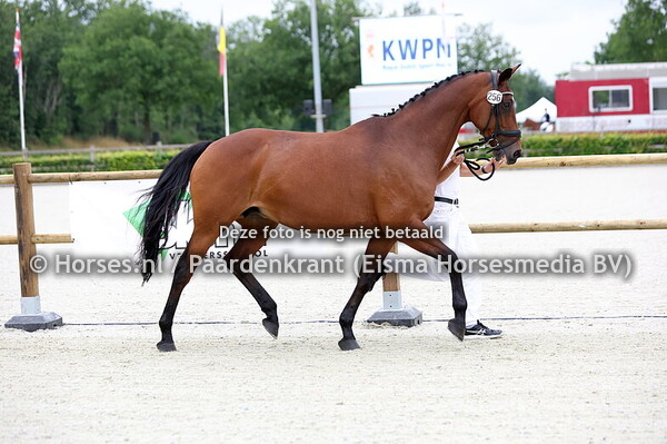 256 Charmant (United x Orchidee v. Belisar)