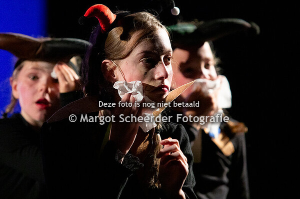 12. De Narren – Het Lied van de Narren