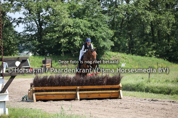 601 Irma Paternella (Baltic VDL x Indoctro x Voltaire) Renske Kroeze