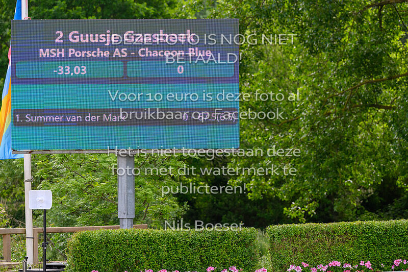 11 Rijstijl paarden 0.80 cm ZB