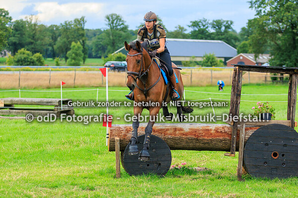 SGW Markelo Snorrewind Paarden M 30-06-24