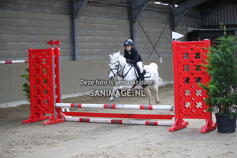 Zilfia's Hoeve Springen Pony's 26-10-2025 30-40-50 cm