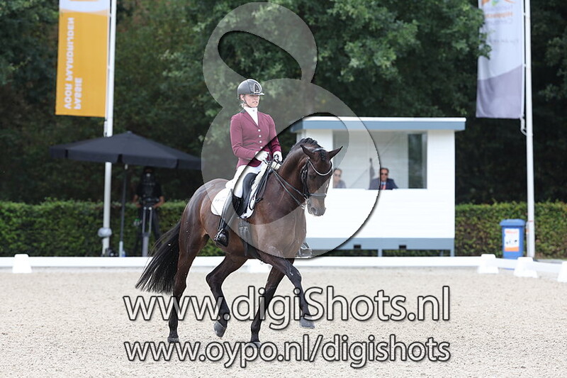 Ring 6 - Z1 Paarden Finale
