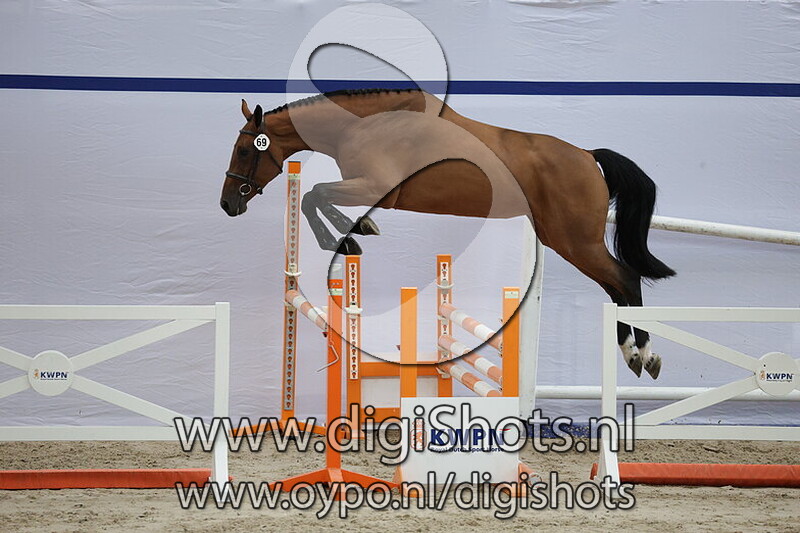 Eldo Roos Z v. Eldorado van de Zeshoek