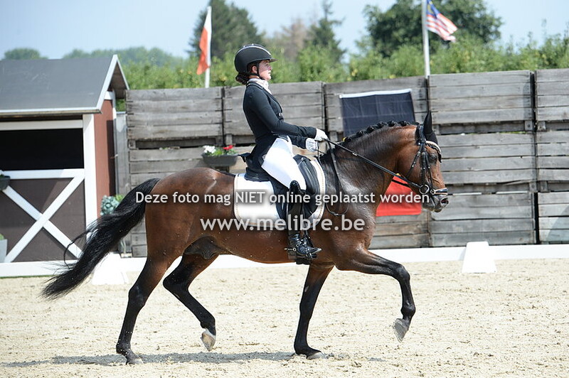 Pony Individuelle