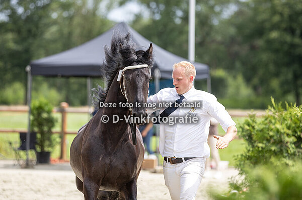 36. Lost Jeisje v Meisje vd Sprong