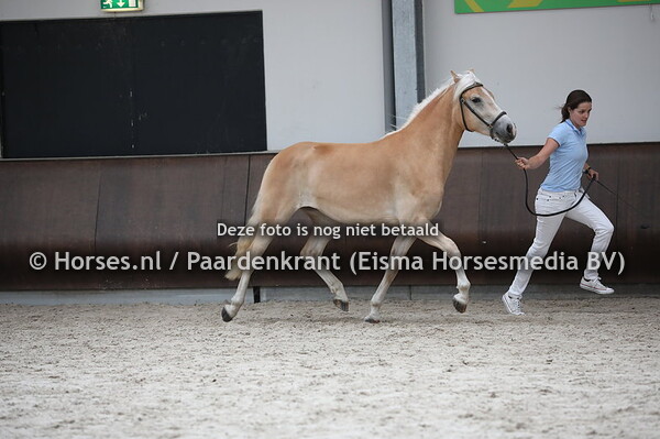 55 Hieke van de Pol (Adel x Hiske van de Bekenpieper)