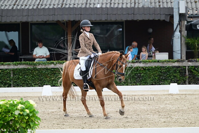 Vayen van Ginkel - Chance