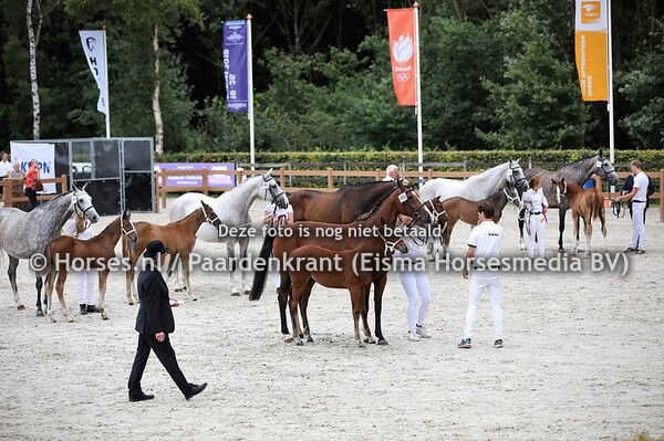 190810  KWPN Afstammelingenkeuring Springen 2019
