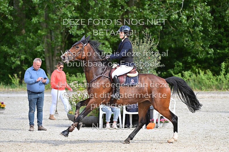 24 ETL Grote prijs, klassiek paarden 1.30-1.35 m MB