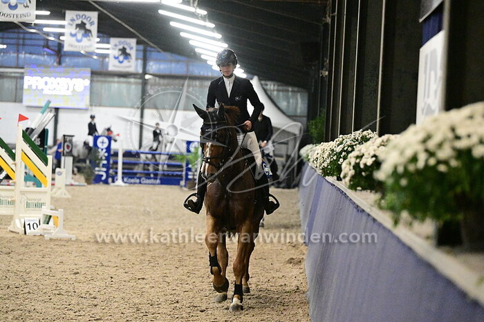 Ellen Zwijnenberg - NN