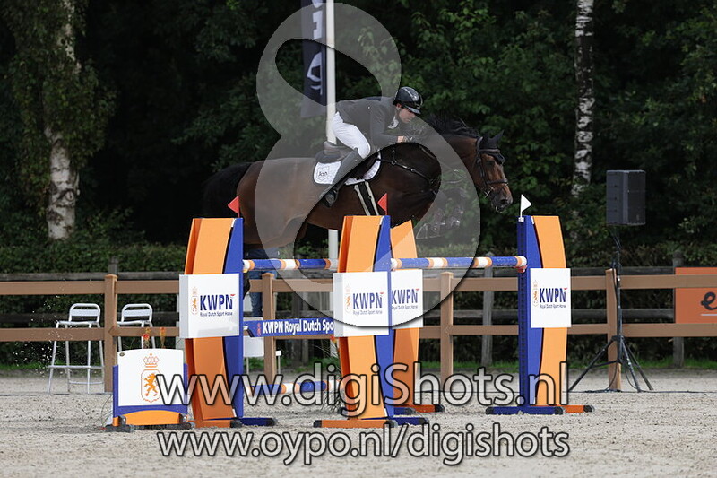 Paradise de la vita wm