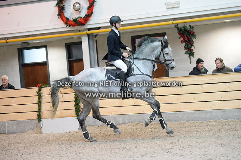 Nieuwjaarsjumping De Warre -ZON- Finale 1.15m