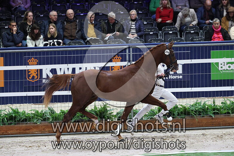 San Sebastian LMD v. Furst Toto