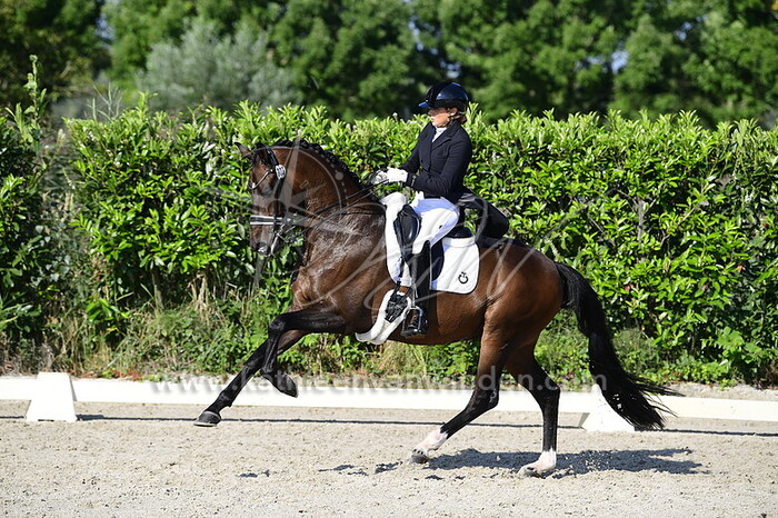 Yomini Pitambersingh - Jaguar