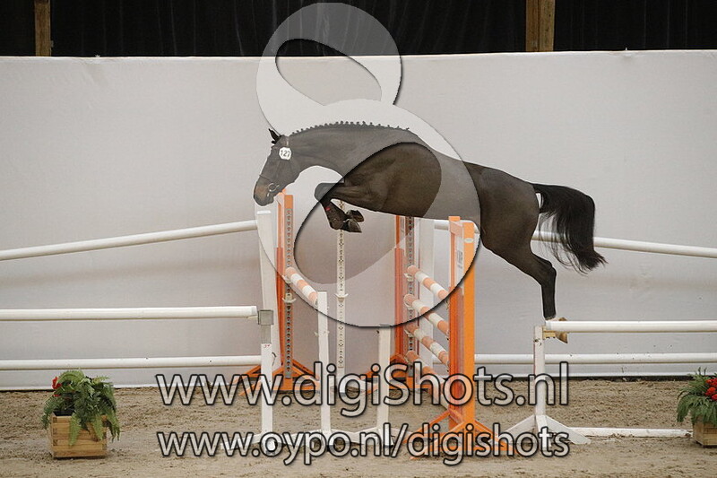 More Special v. Grandorado TN