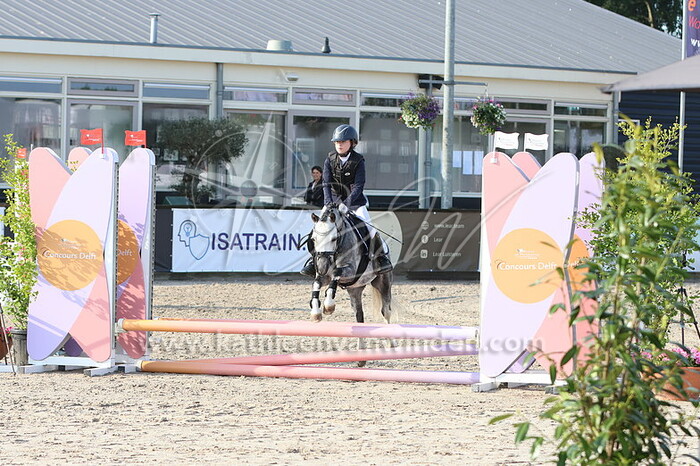 Dyane van Heel - schimmel