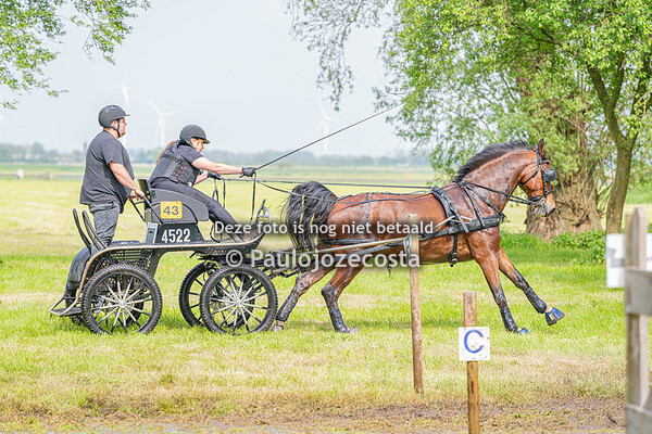 Enkelspan Marathon Mennen Bucephalus