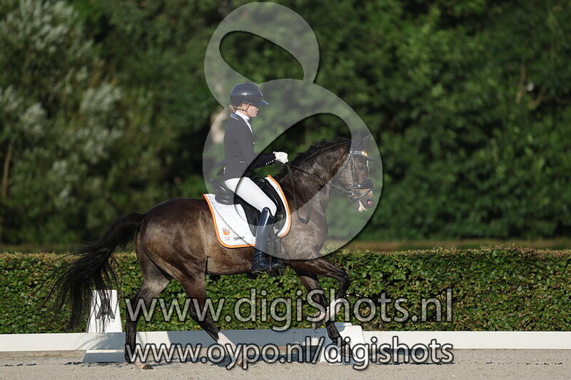 Ring 6 Z2 cat DE Kur op Muziek