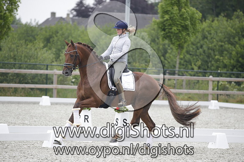 Beukenvallei's Iconic B