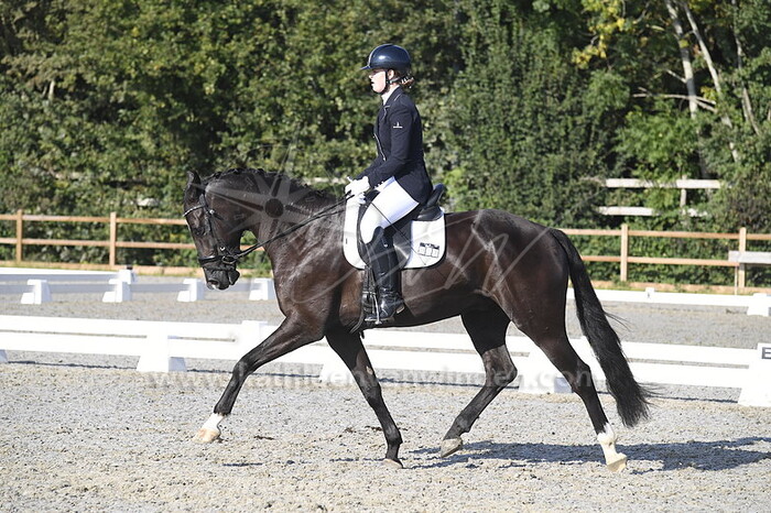 Chelsey van 't Zelfde