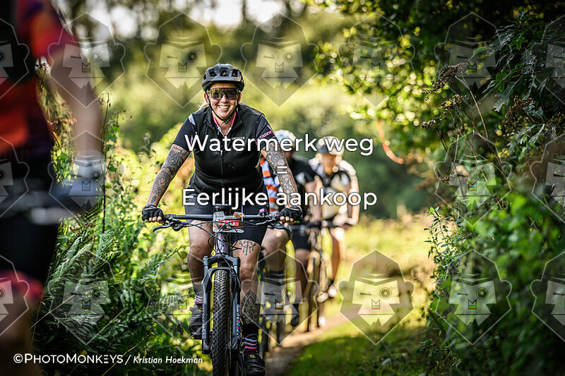 -- ONLINE --  Veldslag om Norg - 11:30 - 12:30