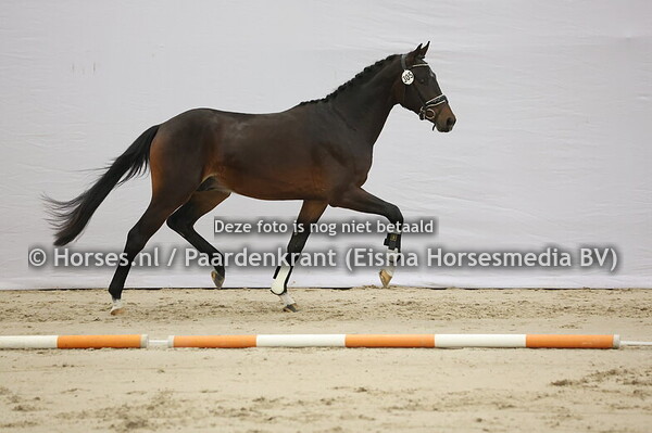 305 (Bloomberg x Johnson)