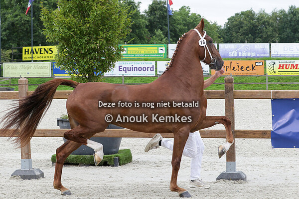 078 - PROUD MARRY CIZANDRO X JONKER B. DIJK, NIETAP