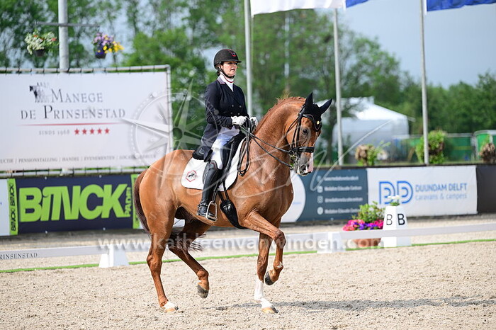 Thamar Zweistra - Hexagons Luxuriouzz