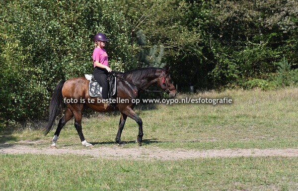 21-9-2024 Spartelvijver