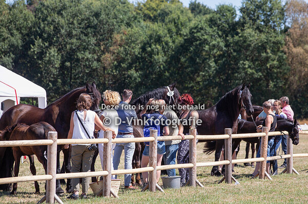 31. Galobje fan Over den Graaf