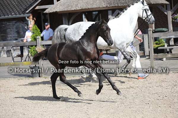 47 U Perfect Katushka