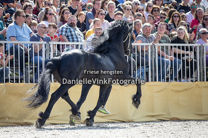 Hengstenshow Lunteren 18-04-2022 Maurits 437