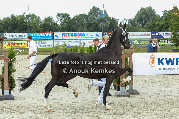 68 - Rielantha H ( Lanto HBC x Sir Arie )