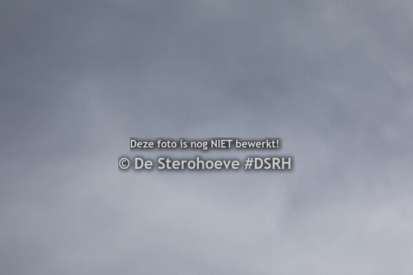 5.mannelijke jaarlingen springen