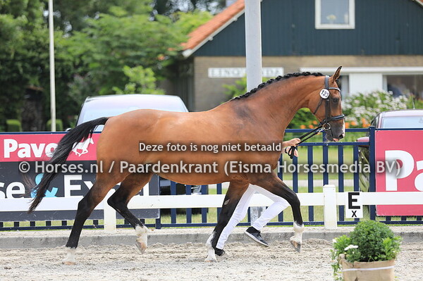 123 Bohemian Chique v Johnson