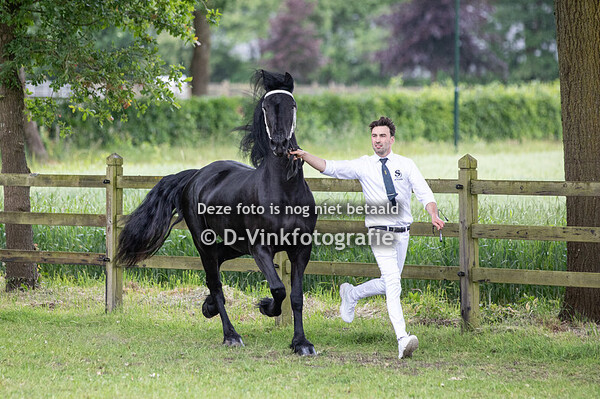 13. Titia van de Haanakker